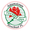 Adamstown Rosebud Reserves